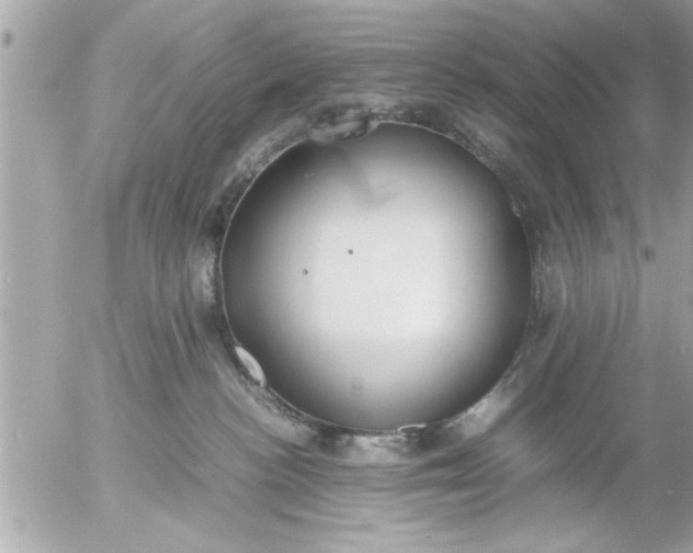 X0000055510188200508262150