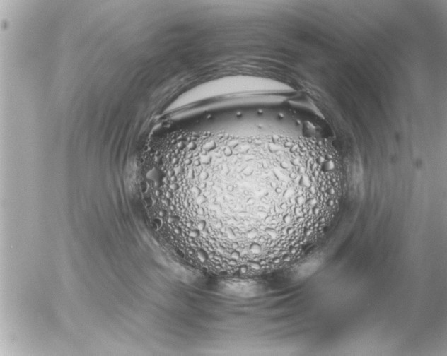 X0000055510189200508262150