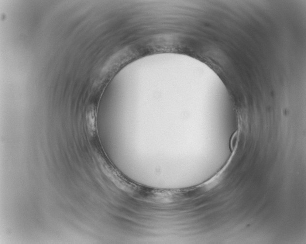 X0000055510190200508262150