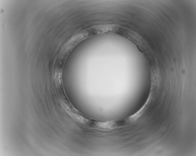 X0000055510191200508262150