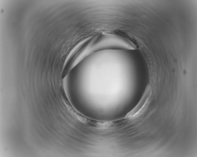 X0000055510192200508262150