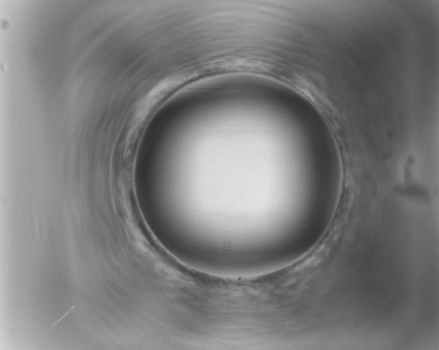 X0000055510193200508262149