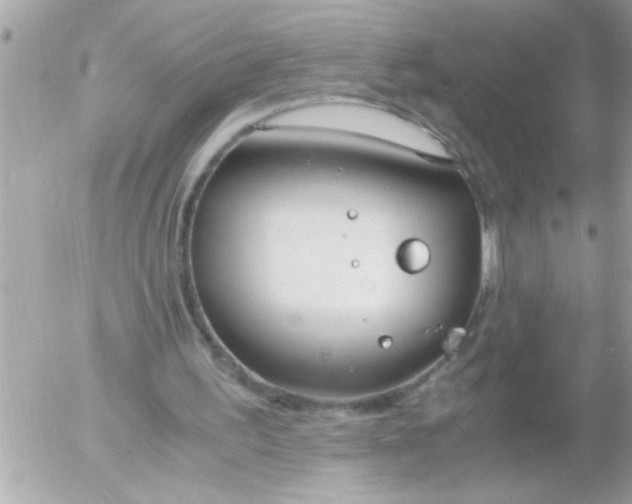 X0000055510195200508262149