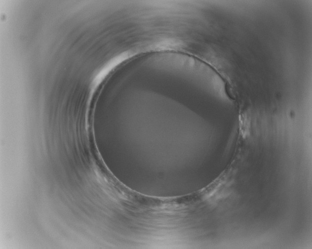 X0000055510196200508262149