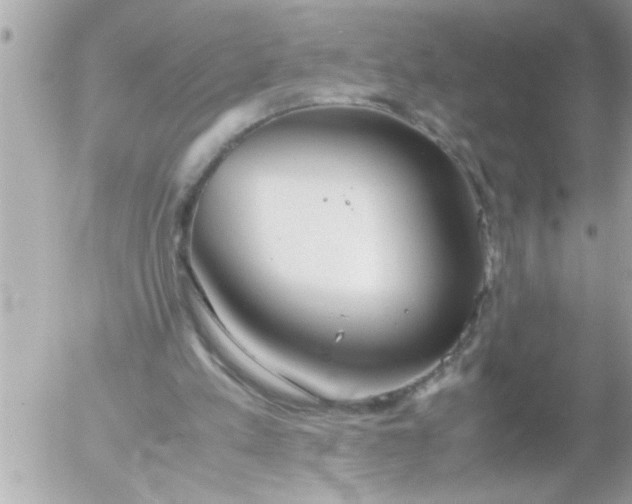 X0000055510197200508262149