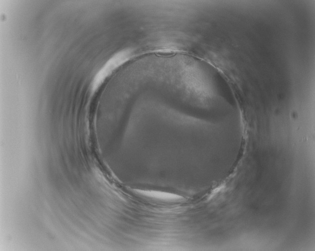 X0000055510198200508262149