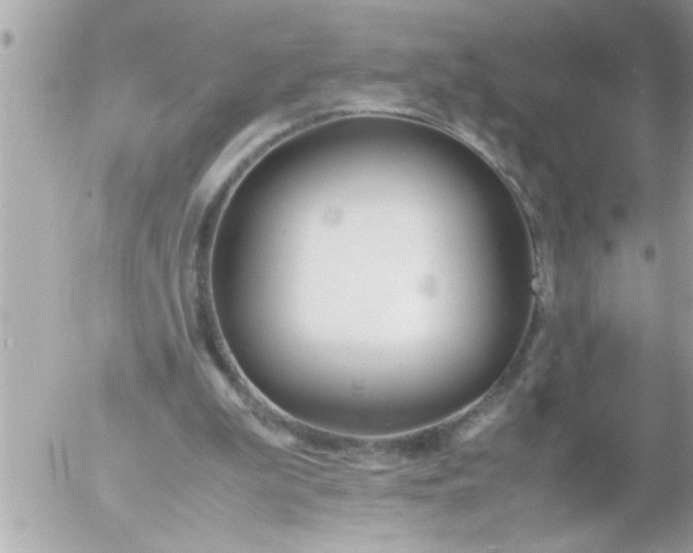 X0000055510199200508262149