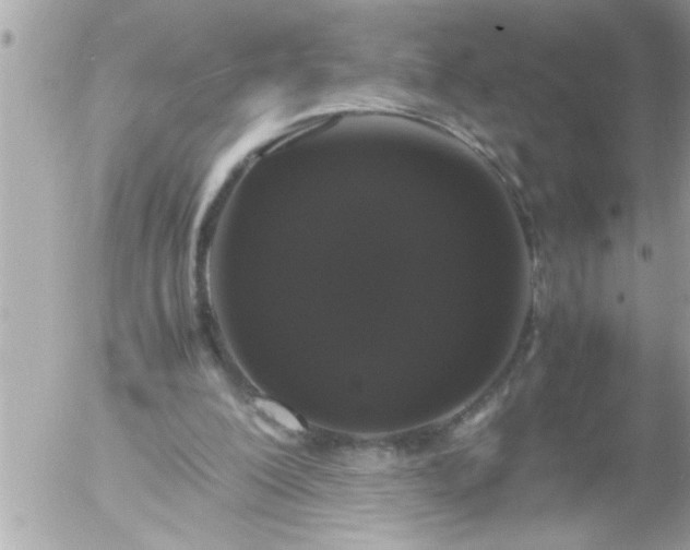 X0000055510200200508262149