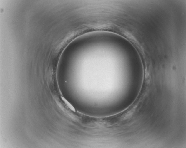 X0000055510201200508262149