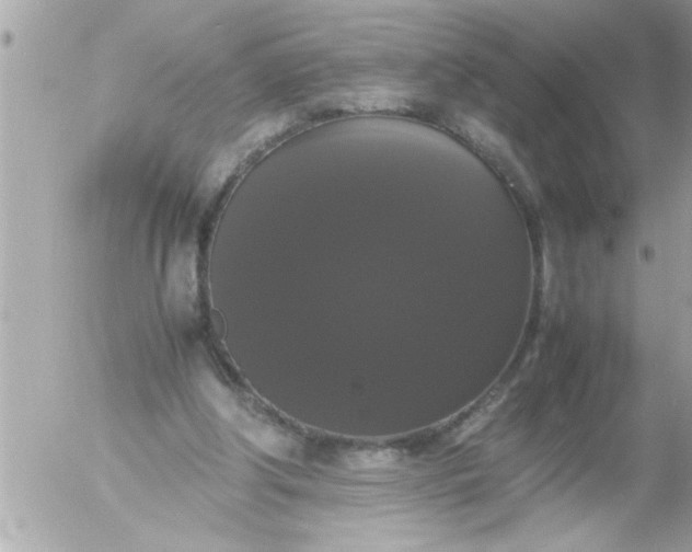 X0000055510202200508262149