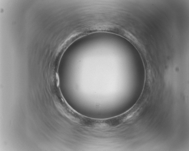 X0000055510203200508262149