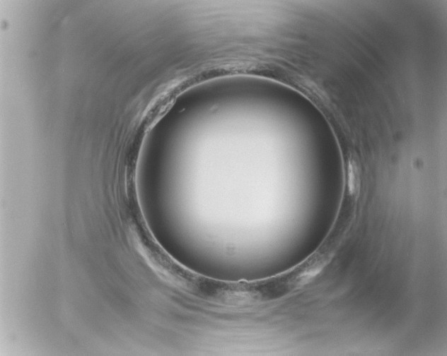 X0000055510205200508262149