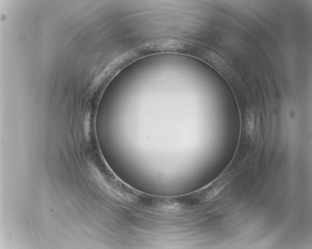 X0000055510206200508262149