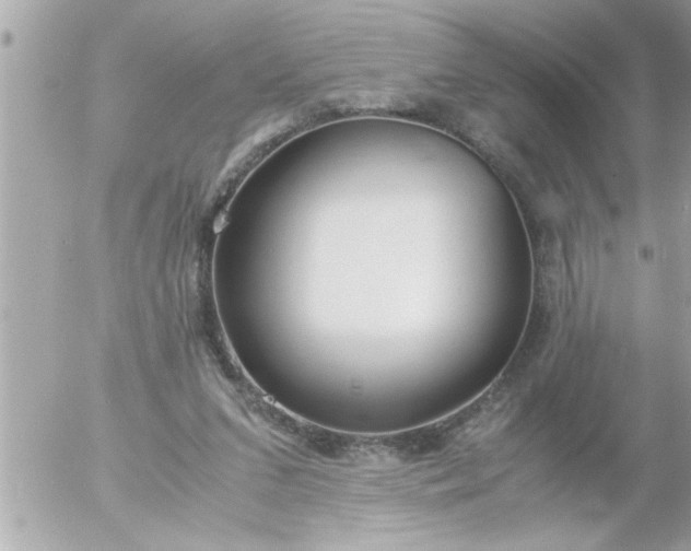 X0000055510207200508262149