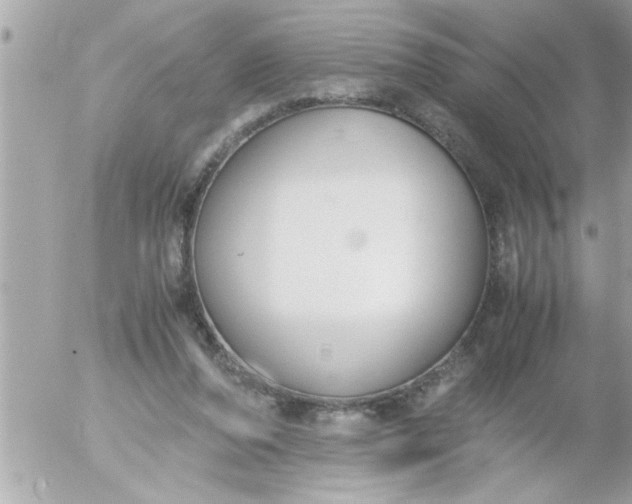 X0000055510208200508262149