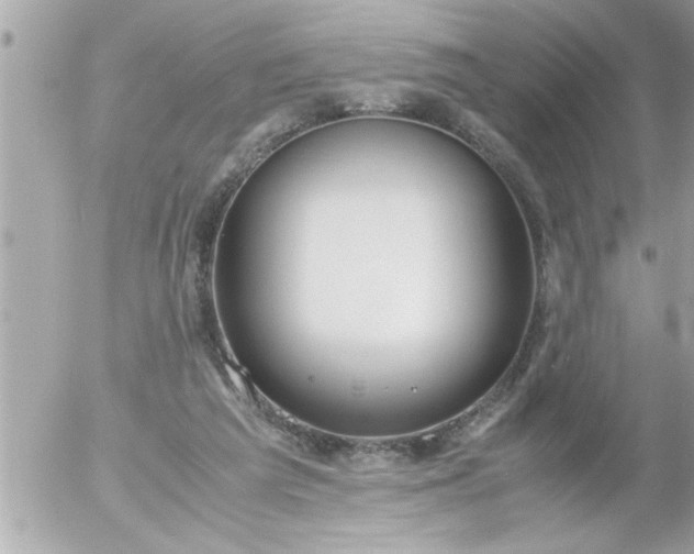 X0000055510209200508262149