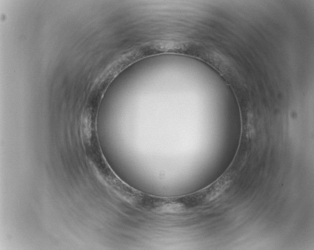 X0000055510210200508262149