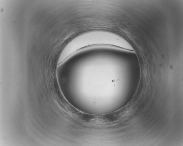 X0000055510211200508262148