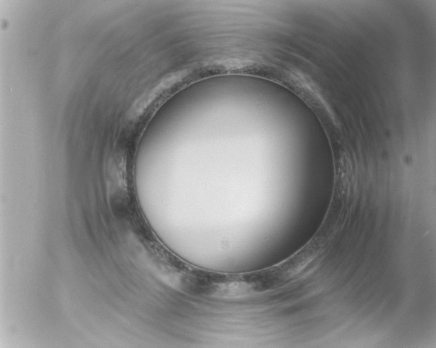 X0000055510212200508262148