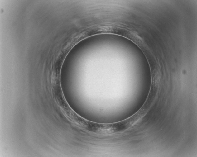 X0000055510213200508262148