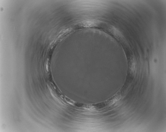 X0000055510214200508262148