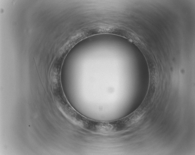 X0000055510215200508262148