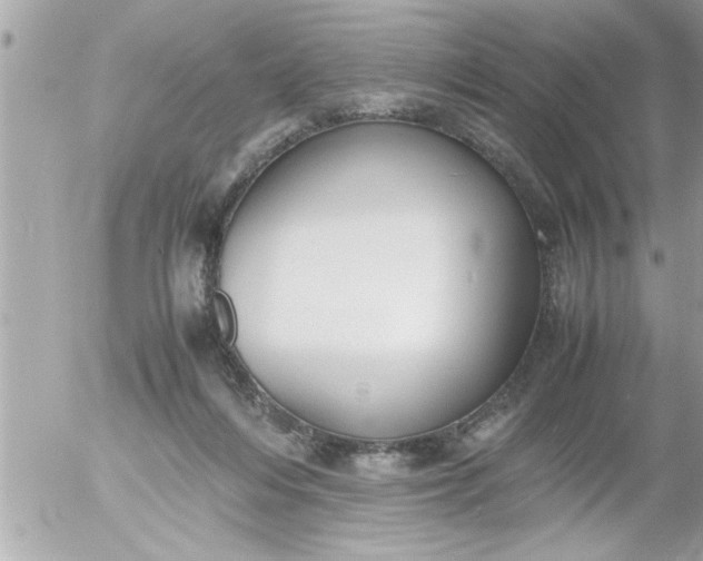 X0000055510216200508262148