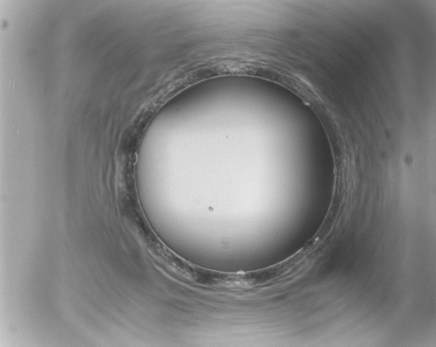 X0000055510217200508262148