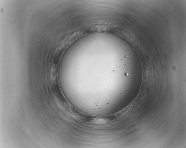 X0000055510218200508262148