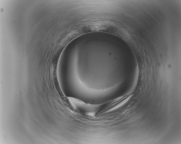 X0000055510219200508262148