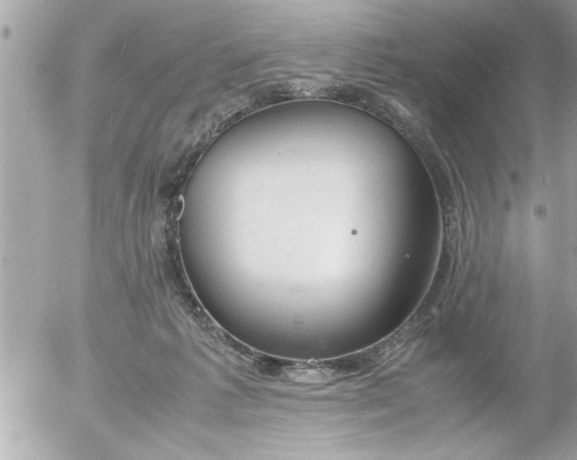 X0000055510221200508262148