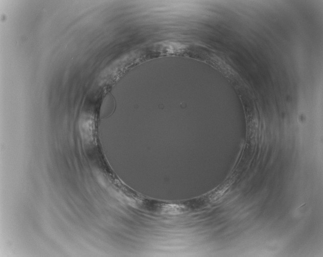 X0000055510222200508262148