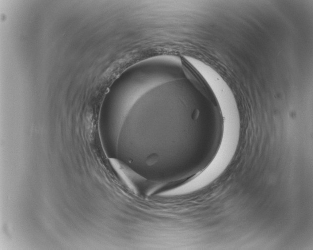 X0000055510223200508262148