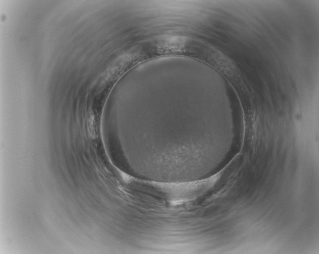 X0000055510224200508262148