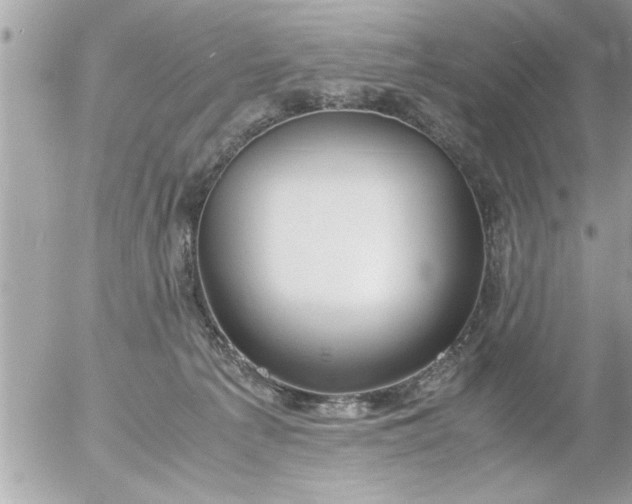 X0000055510225200508262148