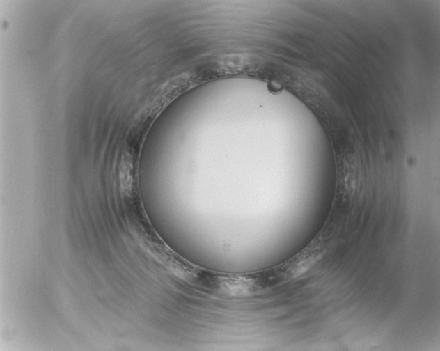 X0000055510226200508262148