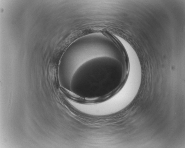 X0000055510227200508262148