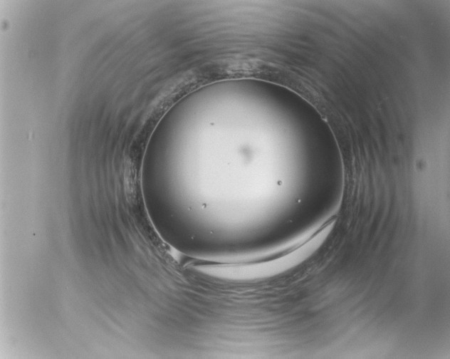 X0000055510228200508262148