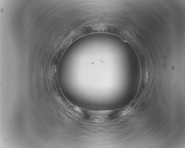 X0000055510229200508262148