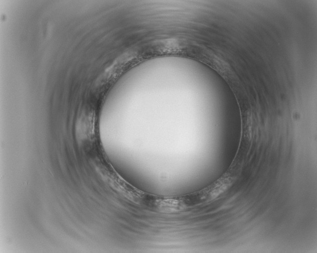 X0000055510230200508262148