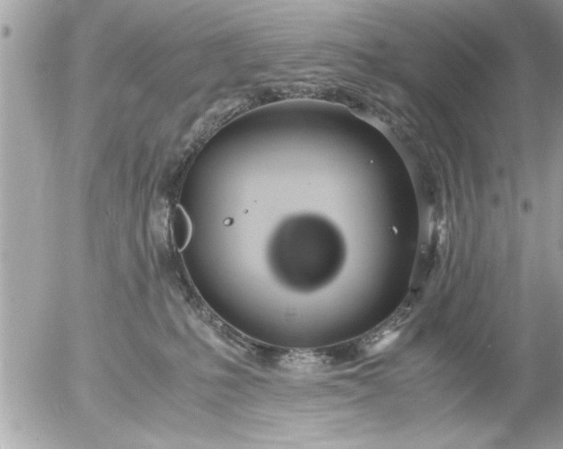 X0000055510231200508262148