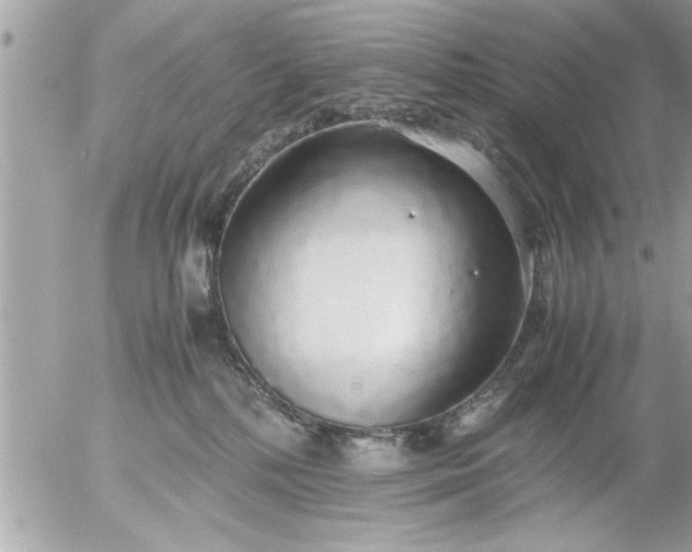 X0000055510232200508262148