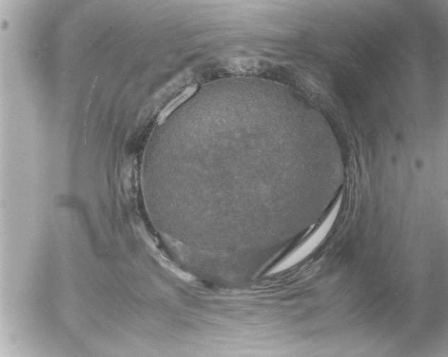 X0000055510233200508262148