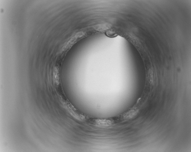 X0000055510234200508262148