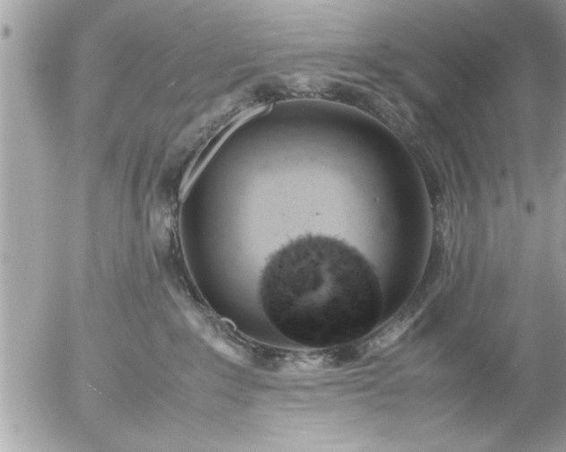 X0000055510235200508262148