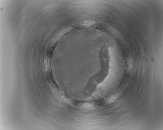 X0000055510236200508262148