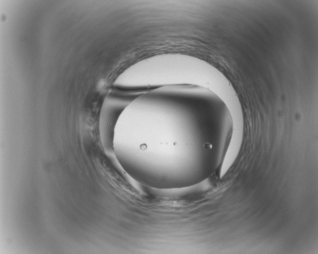 X0000055510237200508262148