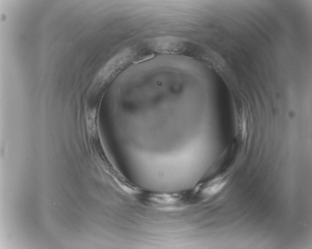 X0000055510239200508262148