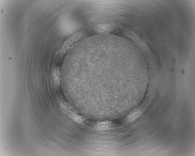 X0000055510240200508262148