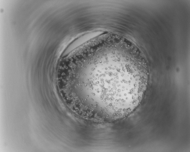 X0000055510241200508262147